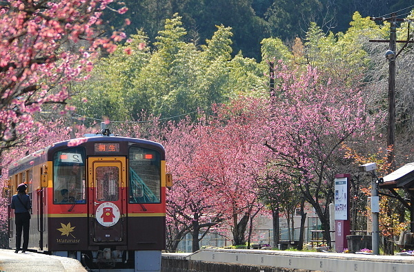 花の駅