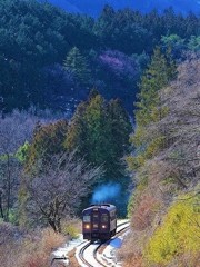 わ鐵の色