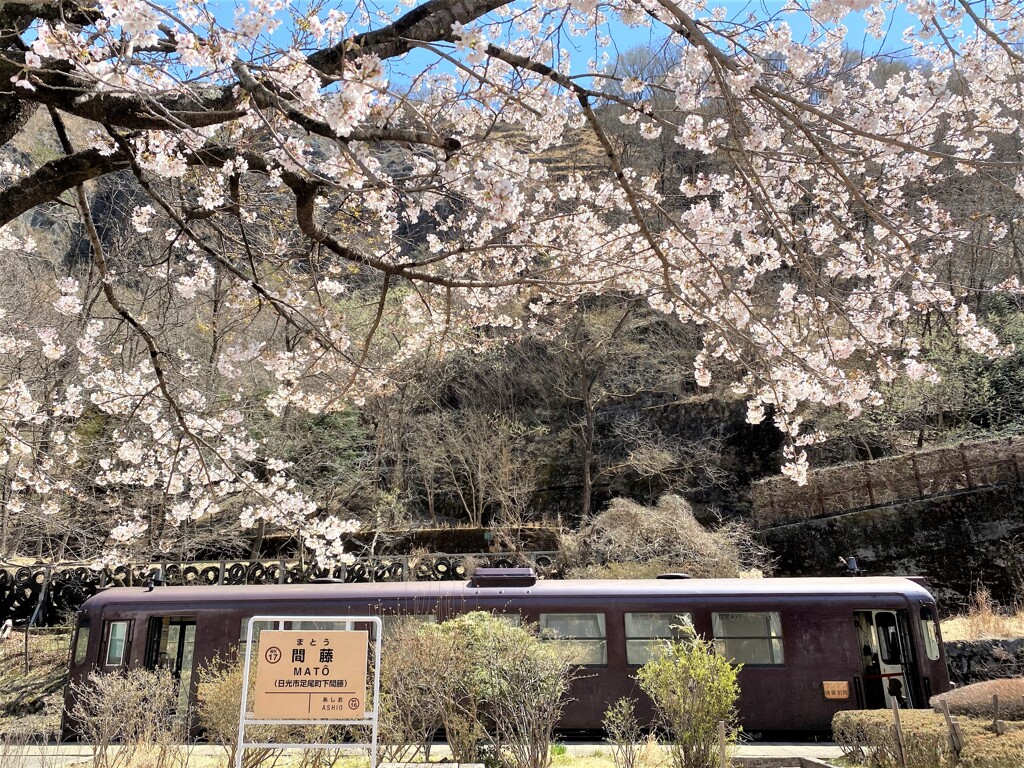 終着駅に咲く