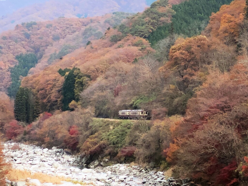 わ鐵ブレンド