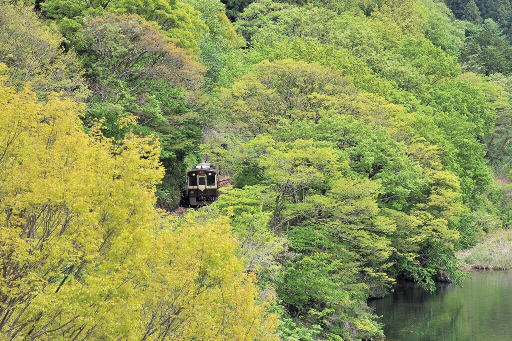 緑のトンネル