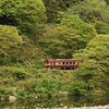 緑のトンネル