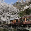 わっしーと春の旅
