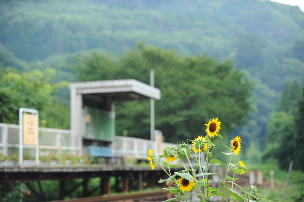 ひまわり駅