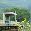 ひまわり駅