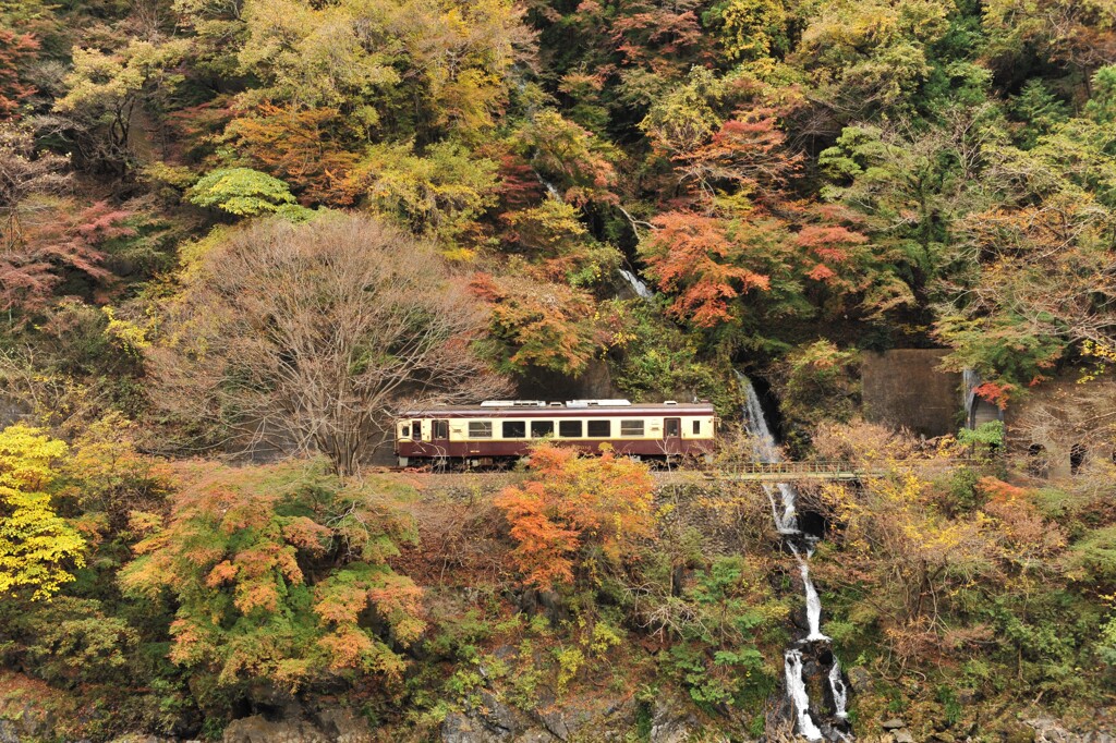 片の平渓谷の滝