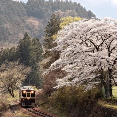 寄り添い