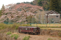 ひので小学校前