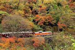 片の平渓谷