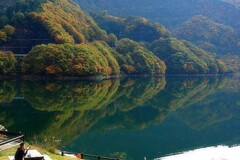 湖畔に一人