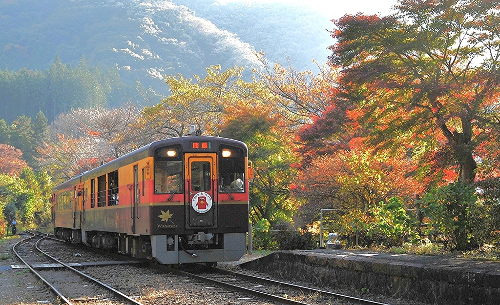 色づく駅