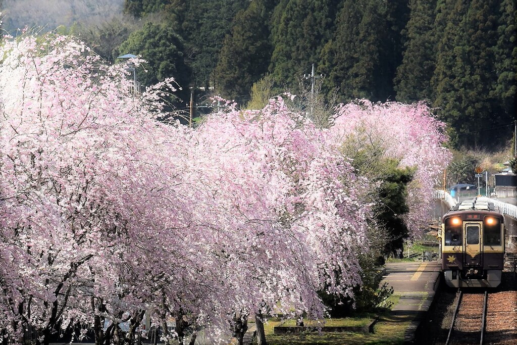 花輪駅ホーム