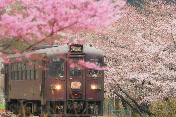 通り過ぎた季節