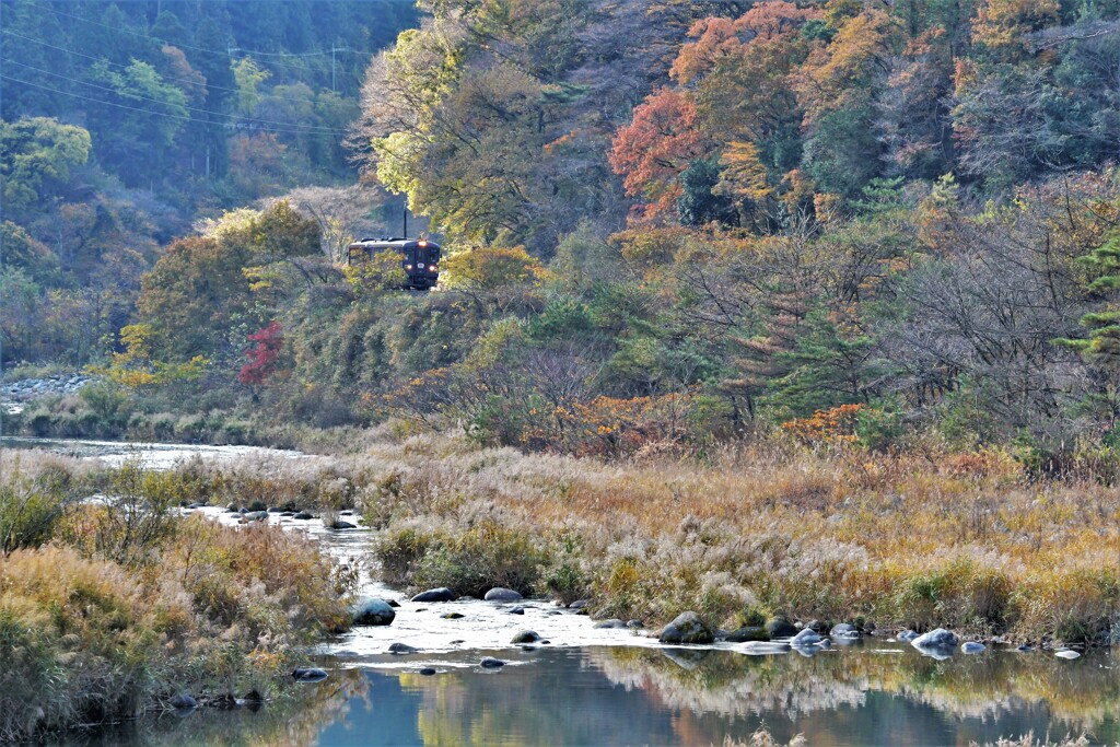 晩秋の彩り