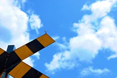 夏の番人 夏の番人