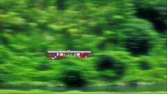 わたらせ 深緑流し