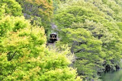 緑のトンネル