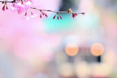 予感