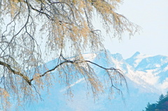 里山からの情景