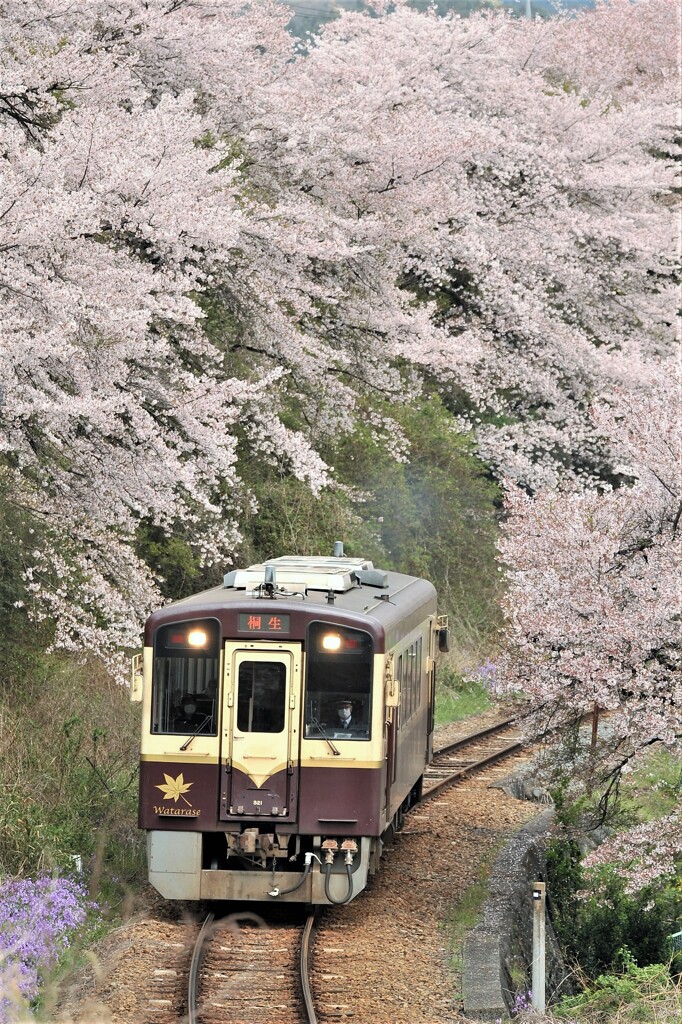 春の忘れ物