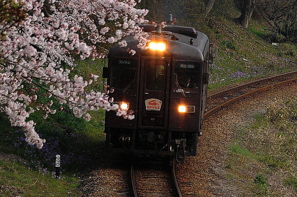 あかがねⅡ