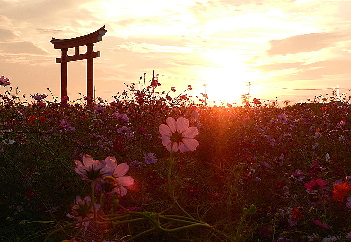 爪あと
