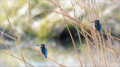 風が止んだ時