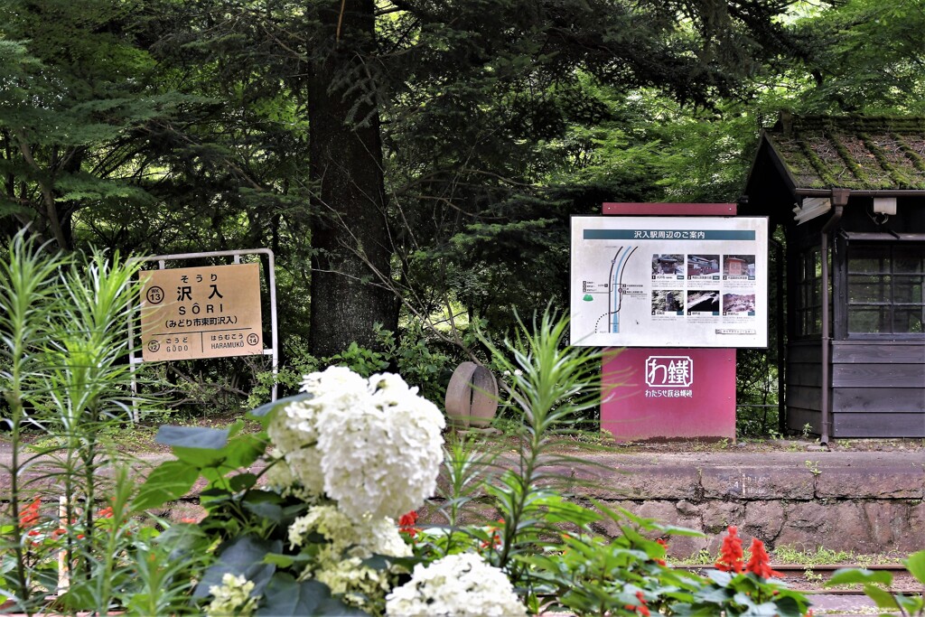 アナベルが待つホーム