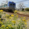 沿線に咲く花