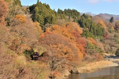 晩秋の彩