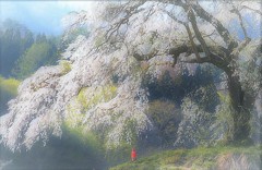 里の春