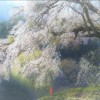 里の春