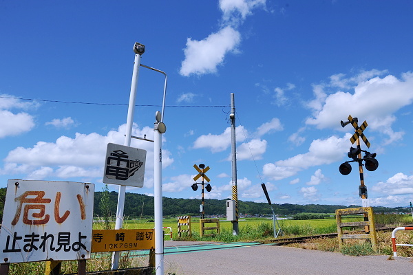 電！