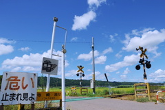 電！