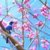 通り過ぎた季節