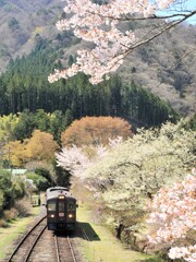 入線