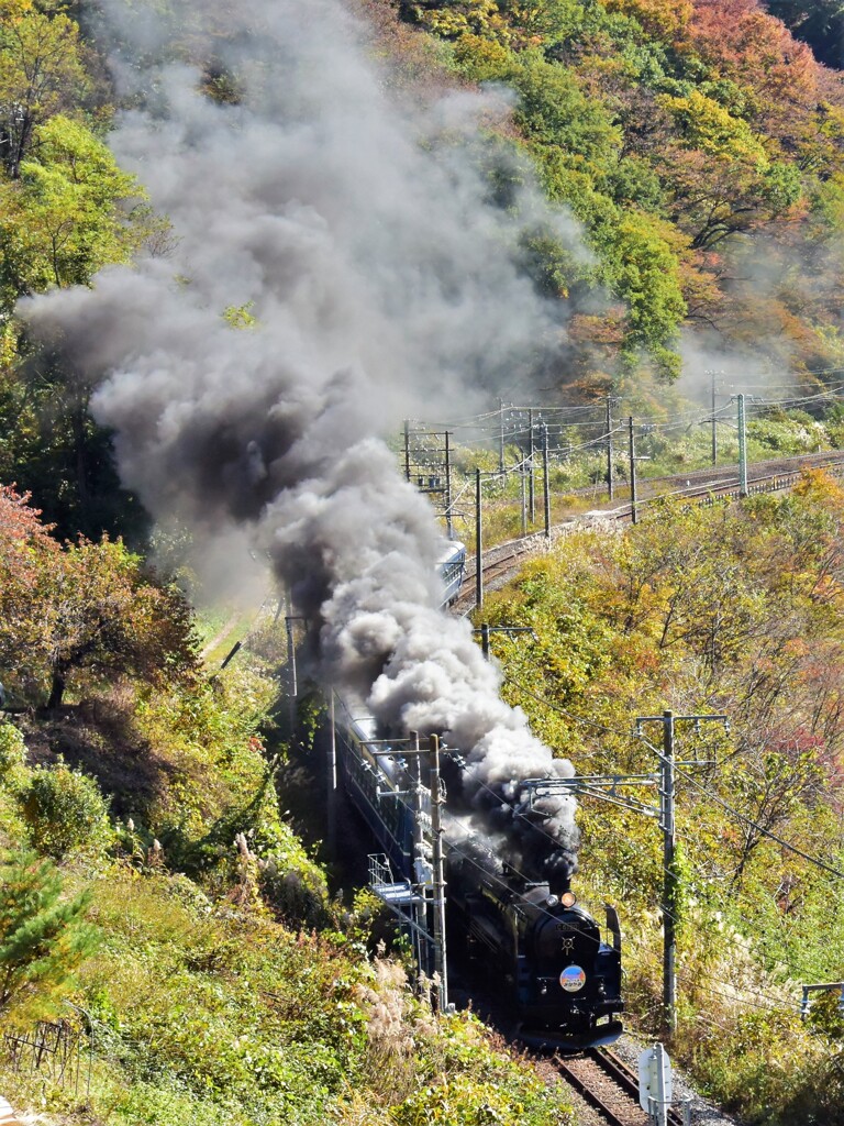 上越線 SL路