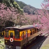 わっしー号　花の駅へ