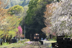 No 8