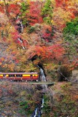 わっしー号の旅