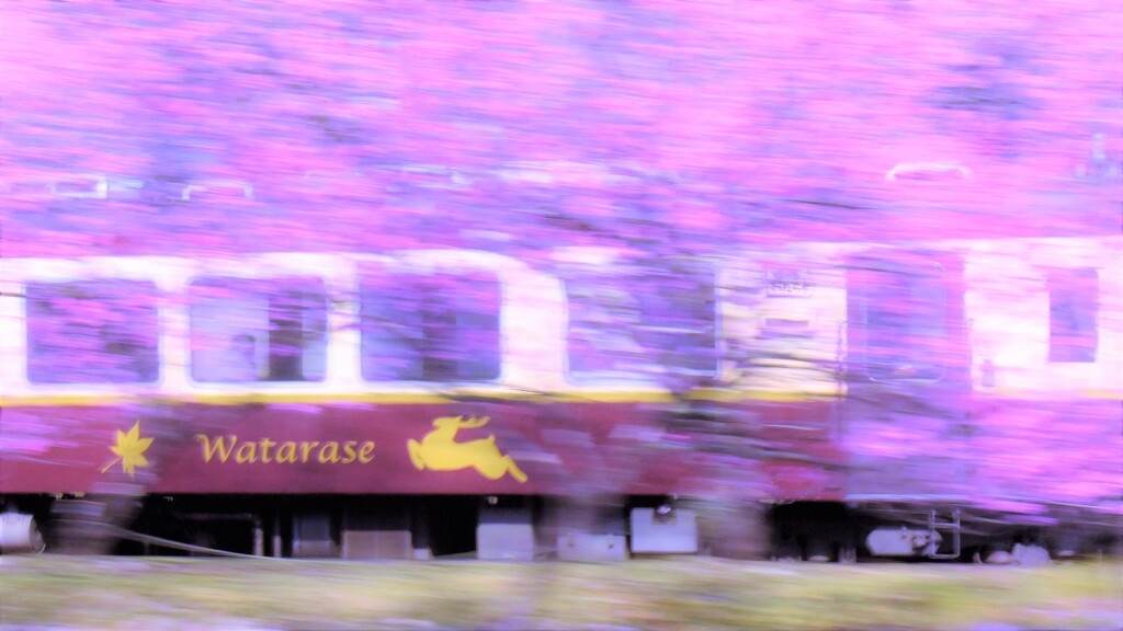 花桃ながし