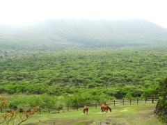 三原山