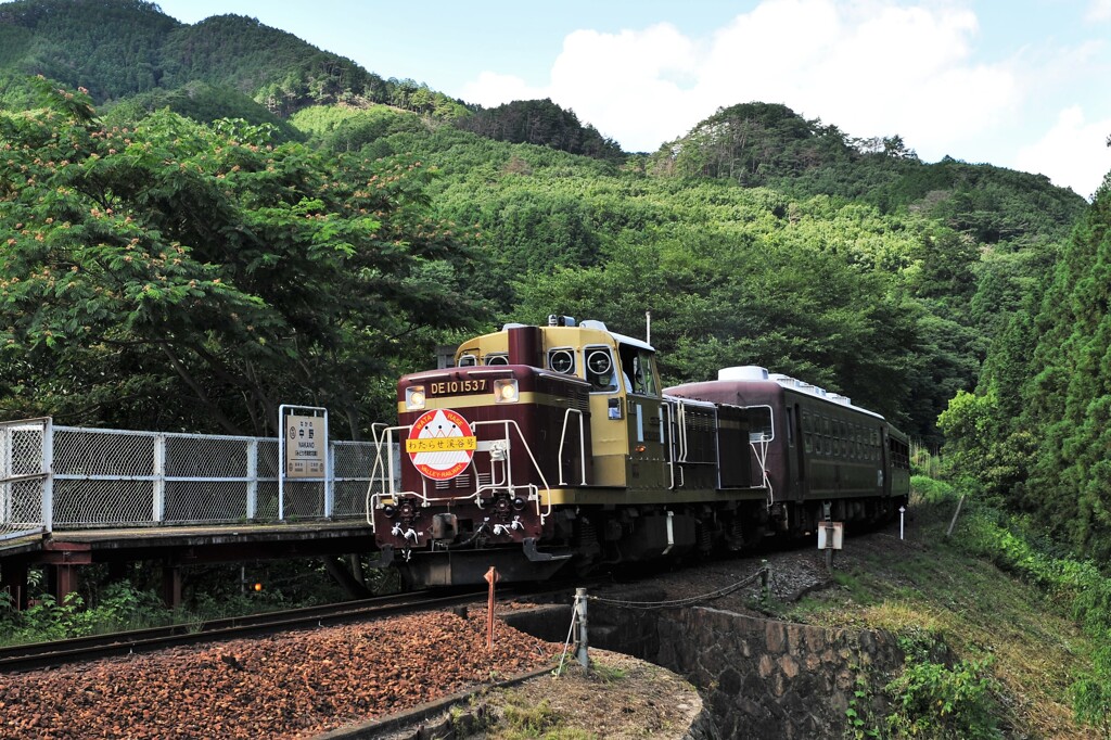 中野ステーション