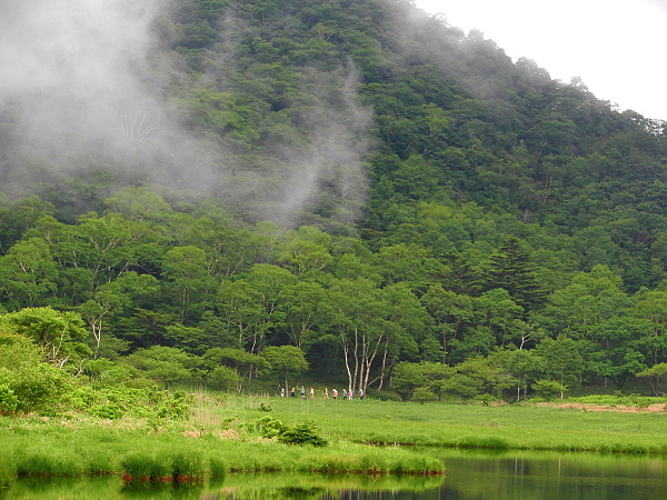 六月の情景