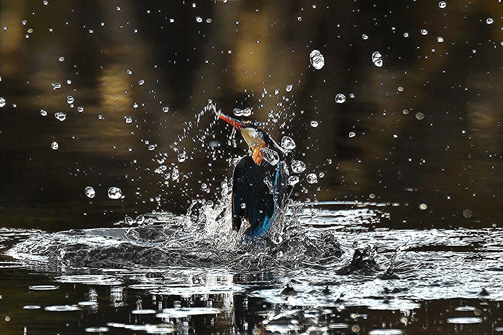 waterveil