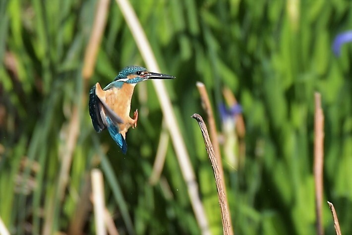 アクセルとブレーキ