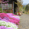 花待ち駅