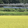 実りの秋