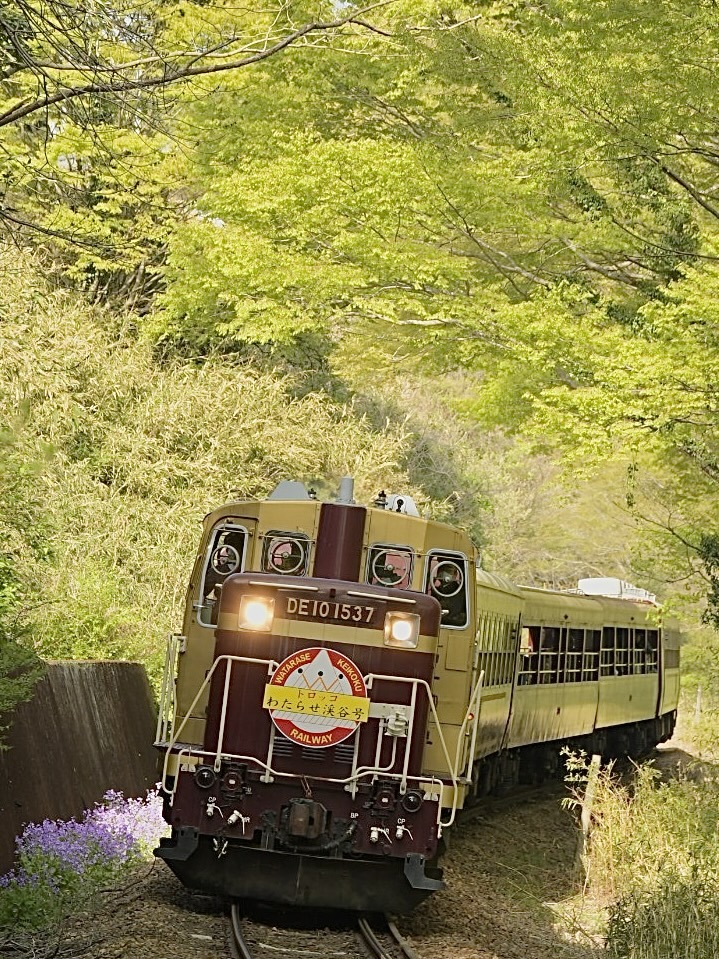 Tilting train