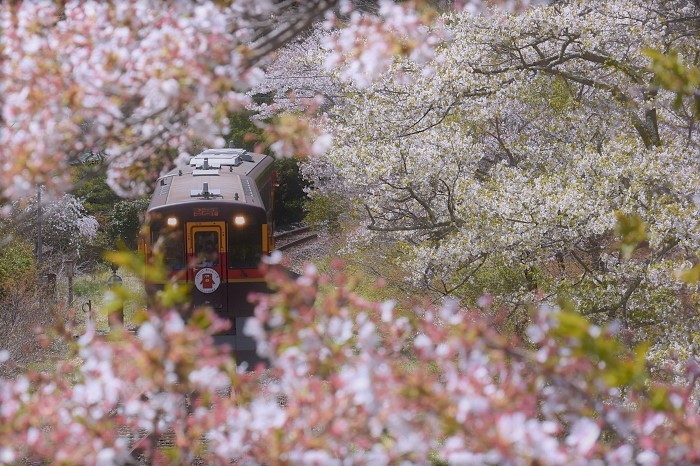 春のすき間